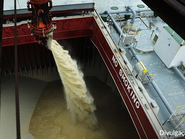 Brasil exporta mais de 400 mil t de açúcares e melaços na 1ª semana de junho