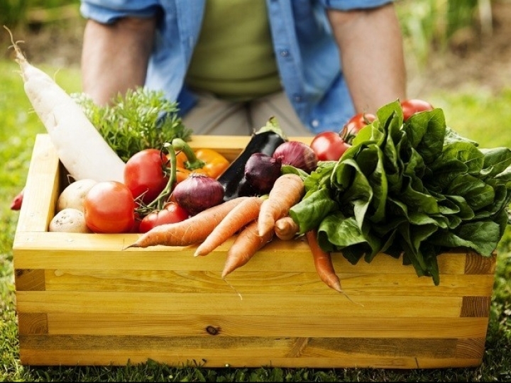 Mapa inicia tomada pública de subsídios sobre a regulação de alimentos à base de vegetais
