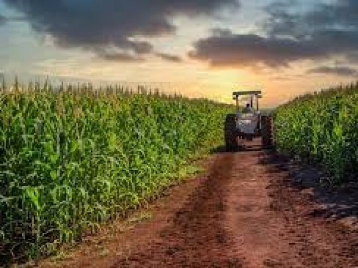 Como a tecnologia pode desburocratizar o crédito rural