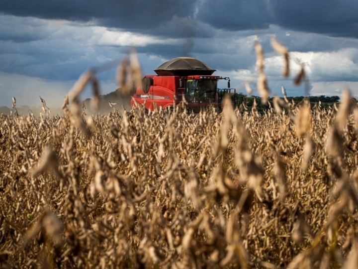 BB anuncia R$ 135 bilhões para financiar safra 2021/2022