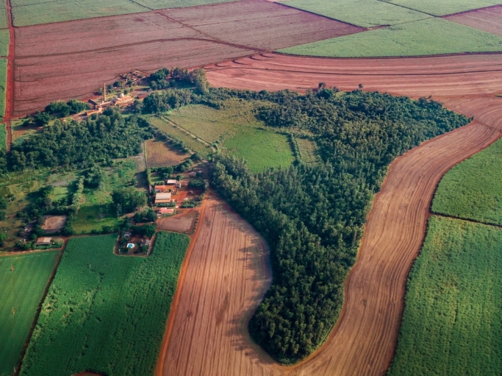 Museu da Cana realiza programa educativo de preservação do patrimônio ambiental