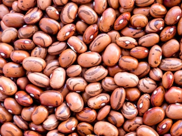 Manejo com biológicos incrementa até 7 sacas de feijão