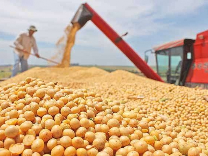 ABIOVE prevê encolhimento da indústria da soja em 2021  