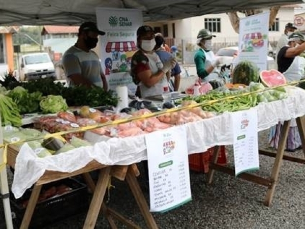 Projeto foi criado pelo Sistema CNA/Senar. Foto: Janaina Rochido