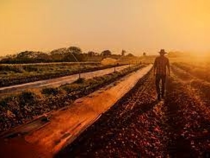 Chanceler brasileiro condena barreiras comerciais e destaca a força do agro