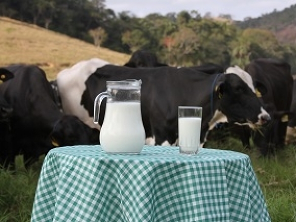  Foto: Marcos La Falce