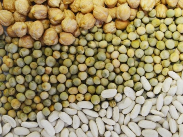 Livros ensinam como reduzir desperdício e a combinar leguminosas com hortaliças