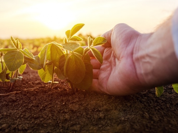 Mapa libera R$ 50 milhões de subvenção para seguro rural no Norte e Nordeste