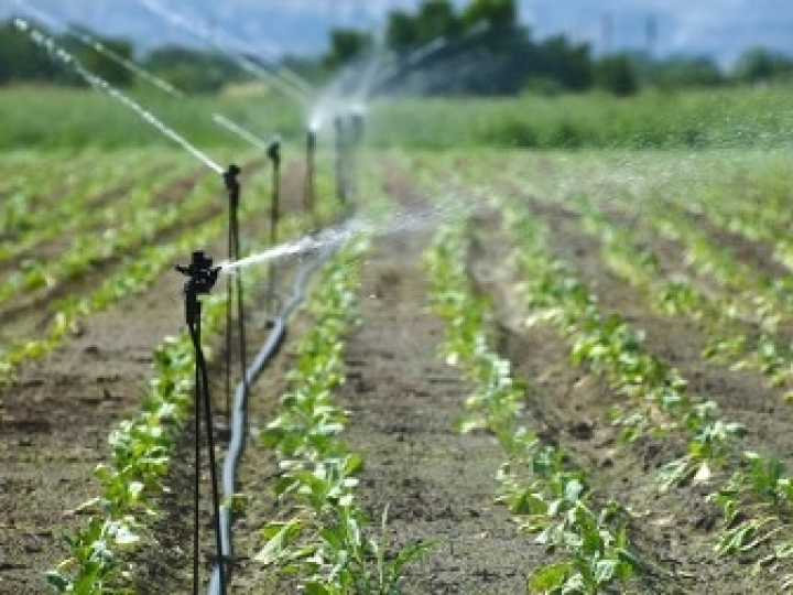 CNA E OS MINISTÉRIOS DO DESENVOLVIMENTO REGIONAL E DA AGRICULTURA PROMOVEM EVENTO ‘IRRIGAR É ALIMENTAR’
