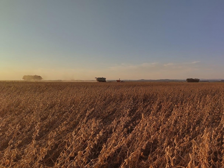 Técnica é capaz de aumentar produtividade de grãos em 26 sacas por hectare no Sul