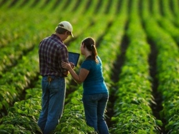 Agronegócio tem salto de 399% em abertura de vagas