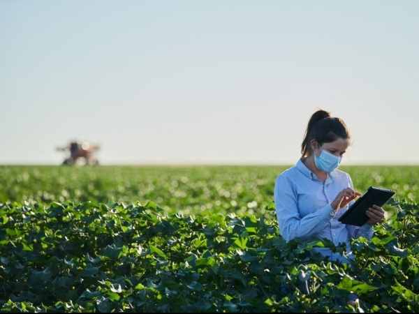 Demanda trazida pela transformação digital impacta a maneira de gerir o negócio, que precisa ser ágil e assertivo, e essa agilidade representa ganho nas operações agrícolas. Foto: Divulgação