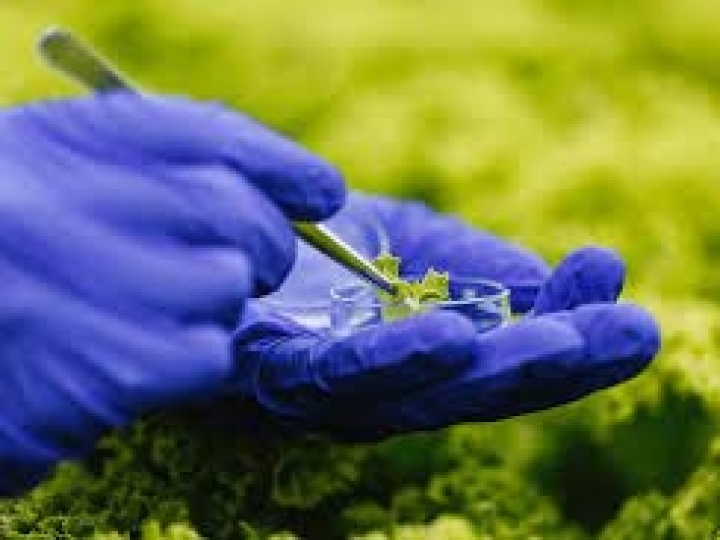 Bioinsumos podem superar defensivos químicos no Brasil