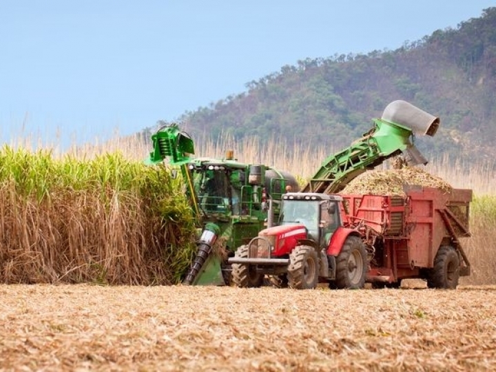 Conheça três tecnologias para otimizar a logística do setor sucroenergético