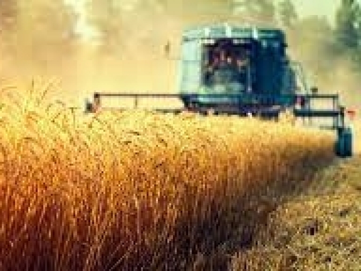 Valor da Produção Agropecuária de 2021 deve registrar aumento real de 11,8%