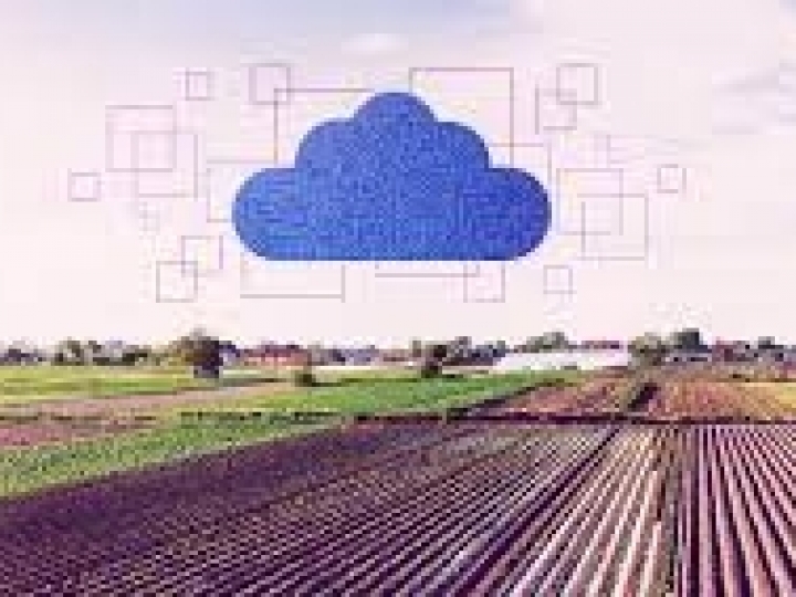 Agrotools cria o primeiro bureau de crédito digital dedicado ao Agronegócio 