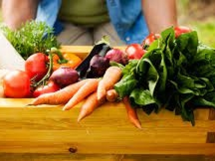 Mapa irá aumentar recursos destinados para capacitação de produtores orgânicos