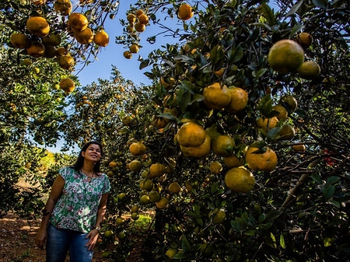 SENAR recebe inscrições para processo seletivo de cursos técnicos até 16 de julho