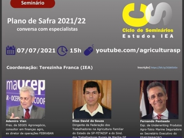 Ciclo de Seminários IEA discute o Plano Agrícola e Pecuário