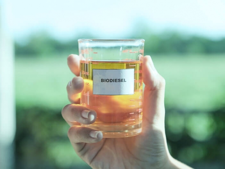 Alerta de fake news relativos à mistura de biodiesel 