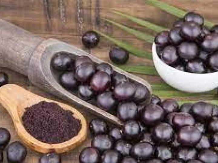 Publicada relação de produtos da agricultura familiar com bônus em julho