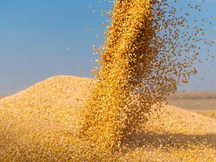 Importação de milho no Brasil deverá continuar para atender a demanda interna