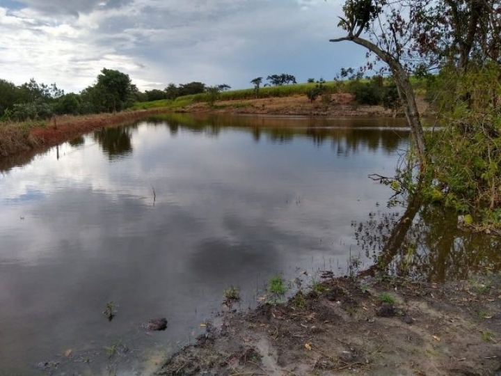 Na contramão da seca, Coopercitrus recupera 52 nascentes