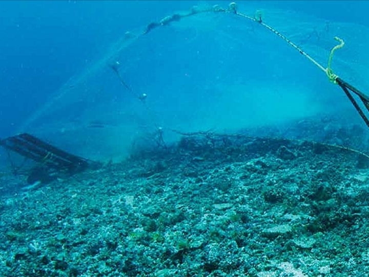 Projeto internacional apresenta na pesca de arrasto do camarão 