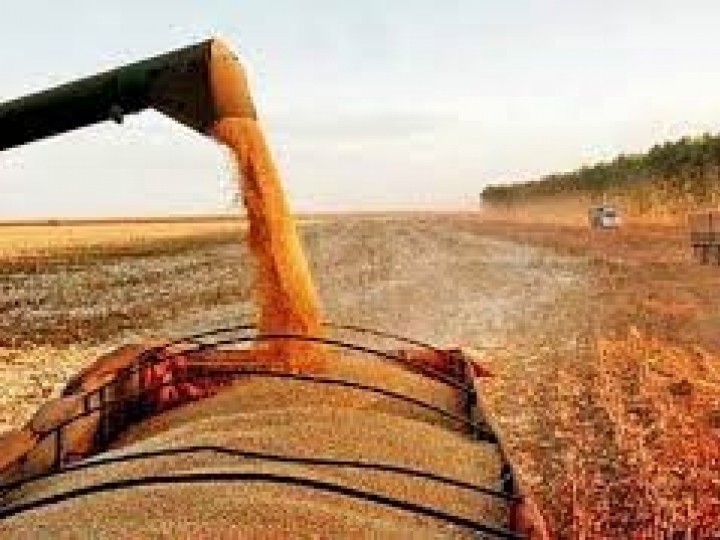 Conab realiza operação para contratação de frete de milho para diversos estados  