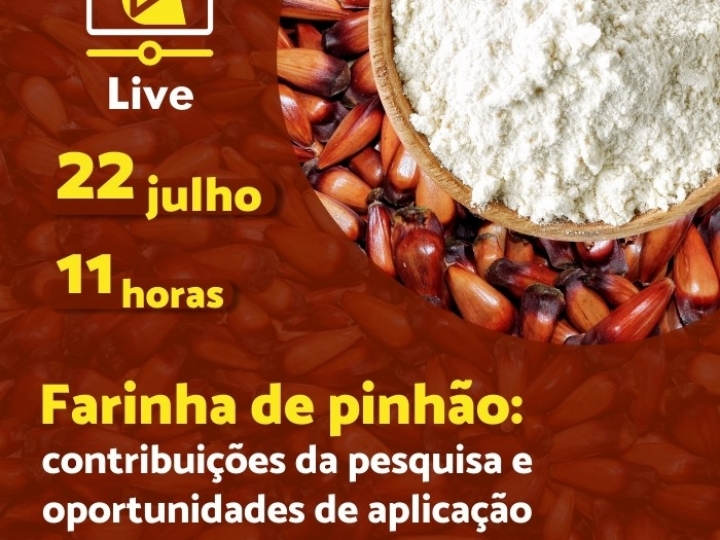 Webinar sobre pesquisa e oportunidades de aplicação de farinha de pinhão
