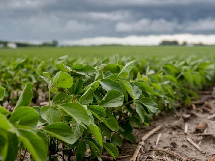 Novas tecnologias para o manejo na cultura da soja e expectativa da safra 2022/2023 