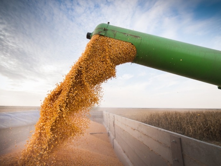 Conab aponta para produção estimada de grãos em 260,8 milhões de toneladas na safra 2020/2021