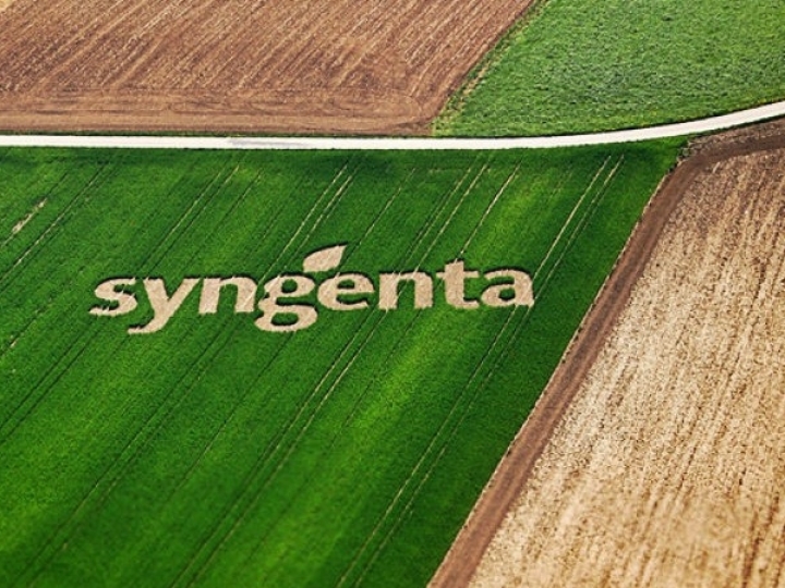 Syngenta adquire Dipagro
