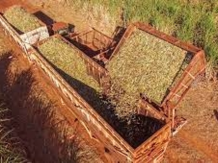 Especialistas abordaram oportunidades de otimização na logística de cana no Brasil 