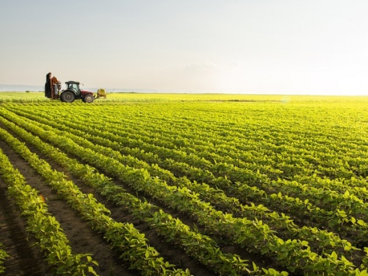 PIB Agro para 2021 é revisto de 2,2% para 2,6%