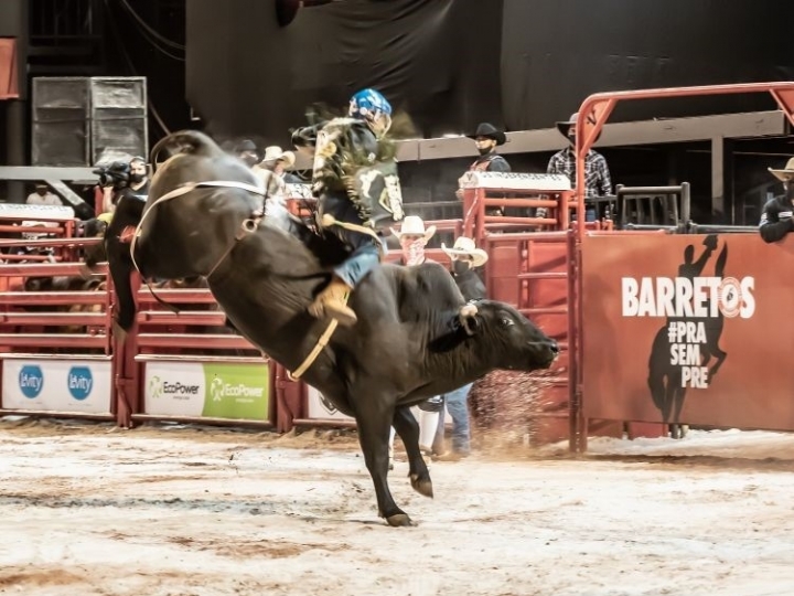 Adiada, Festa do Peão de Barretos terá edição especial virtual com rodeios e shows em agosto 