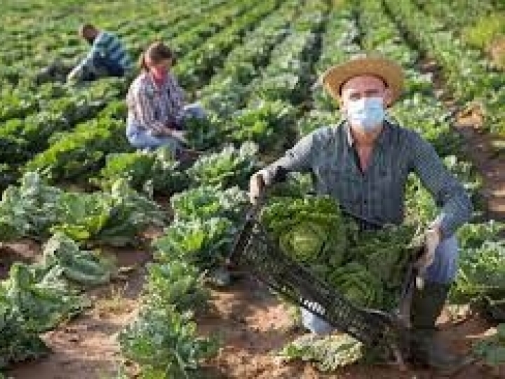 No Dia do Produtor Rural, Ministério da Agricultura celebra 161 anos de história