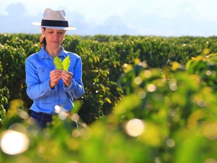Pesquisa inédita mostra participação de mulheres na cafeicultura