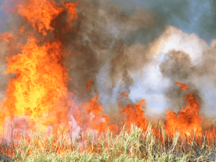 Alerta: próximas semanas são de possíveis incêndios