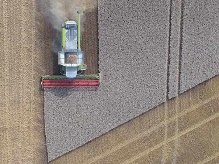 Logística de apoio: a importância das tecnologias que dão suporte às operações agrícolas