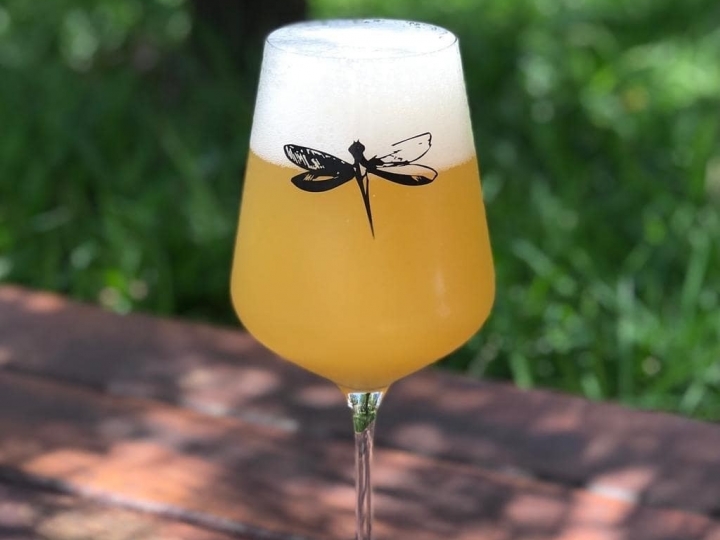 Dia Mundial da Cerveja é celebrado no início de agosto 