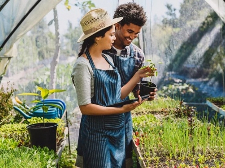 Bayer e Sistema Faeg/Senar iniciam programa de capacitação para desenvolver jovens líderes do agro 