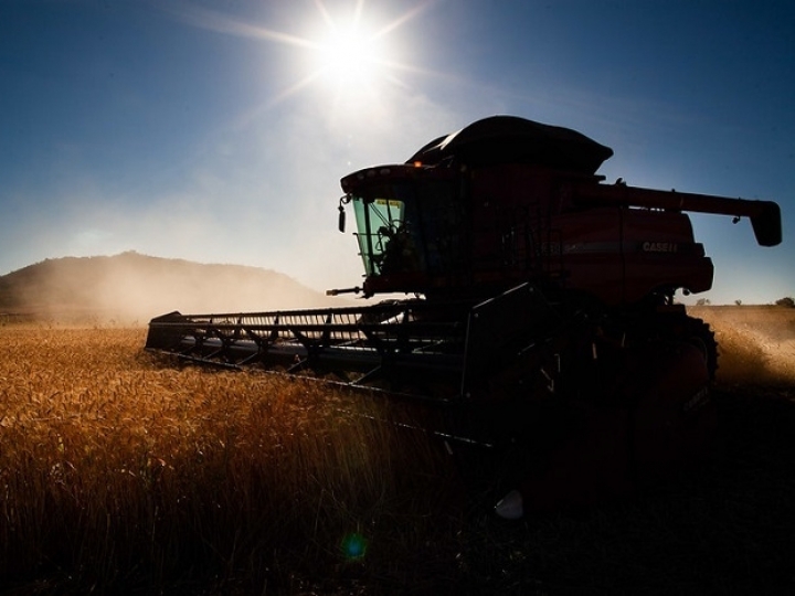 Projeções agropecuárias da China para os próximos 10 anos