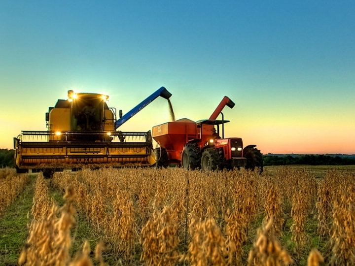 Conab prevê produção de grãos em 254 milhões de toneladas impactada por clima adverso