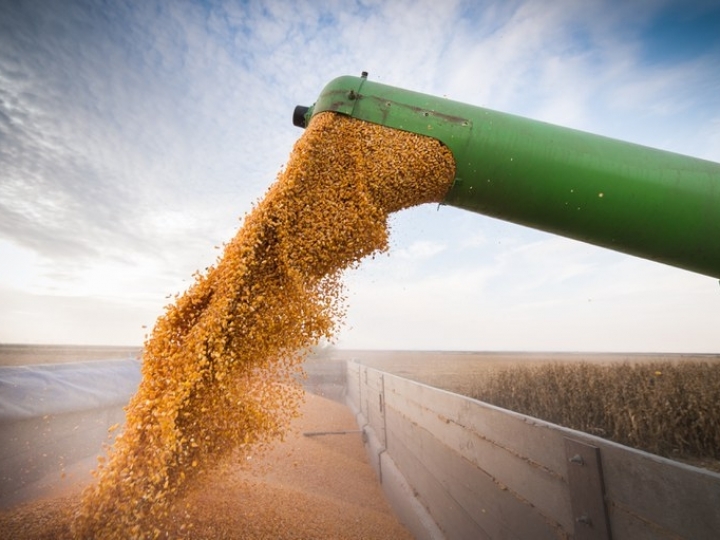 Produção total de 289,6 milhões de ton para safra 2021/22