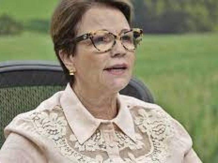 Em seminário virtual, ministra da agricultura ressalta a importância dos modelos de análises de dados rurais para o Brasil