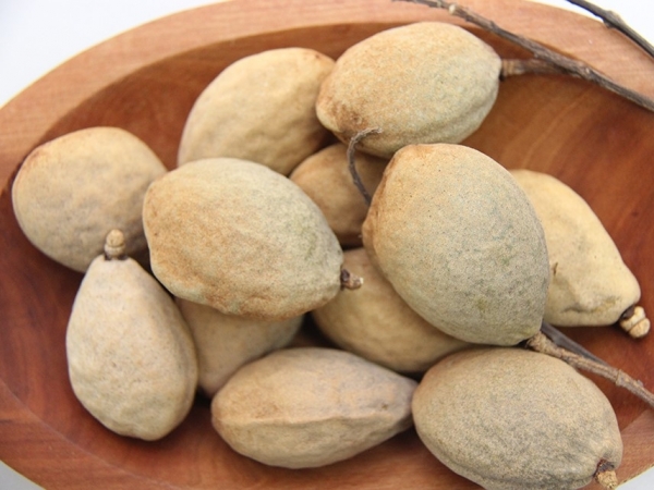 Demanda pelo baru tem crescido no Brasil e no exterior. Foto: Cláudio Melo