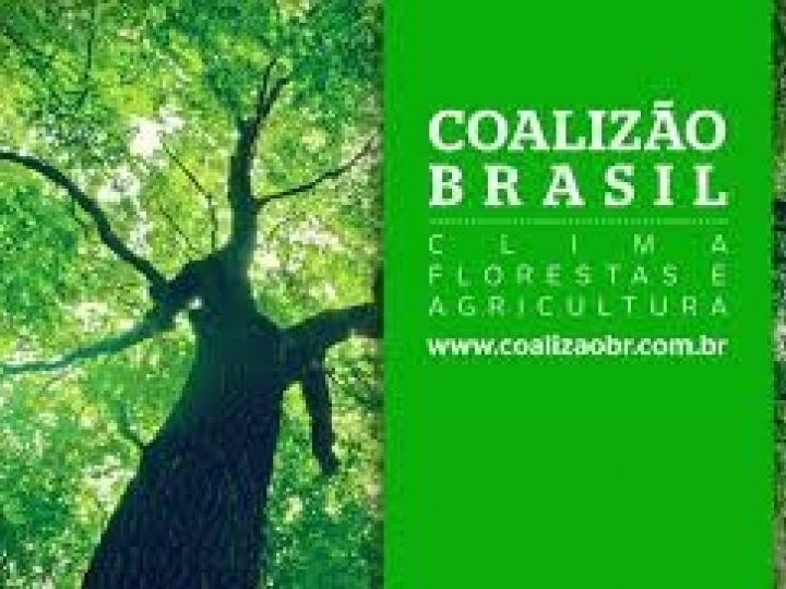 Coalizão Brasil Clima, Florestas e Agricultura defende a criação de uma política nacional de Bioeconomia 