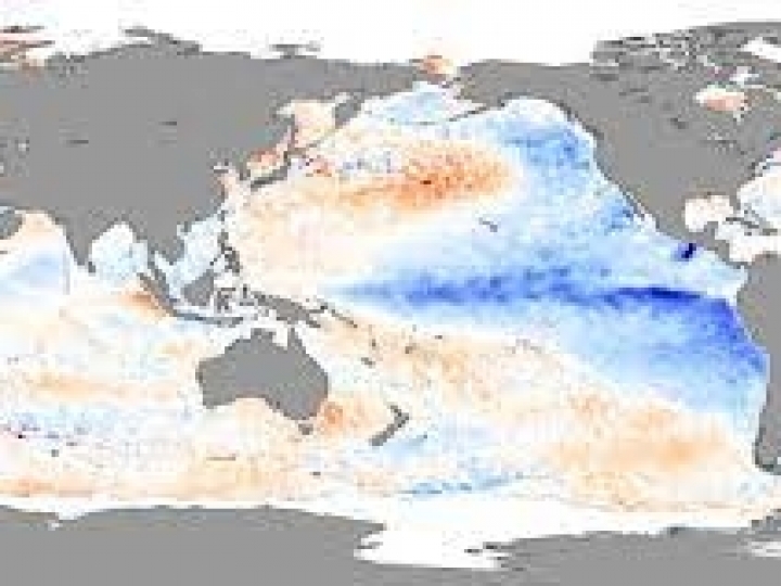 Soja: nova safra deve ser planejada do começo ao fim para contornar desafios do La Niña