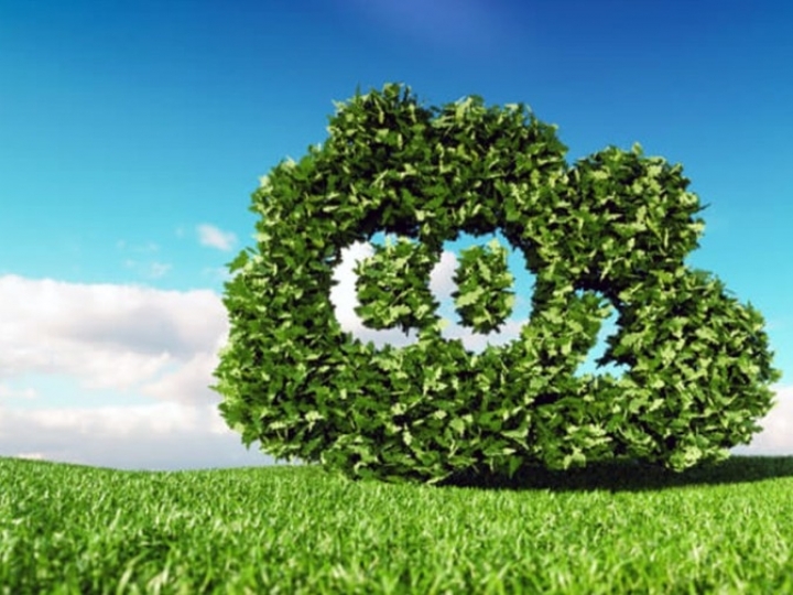 Logitech assume compromisso de remover mais carbono do que cria no meio ambiente